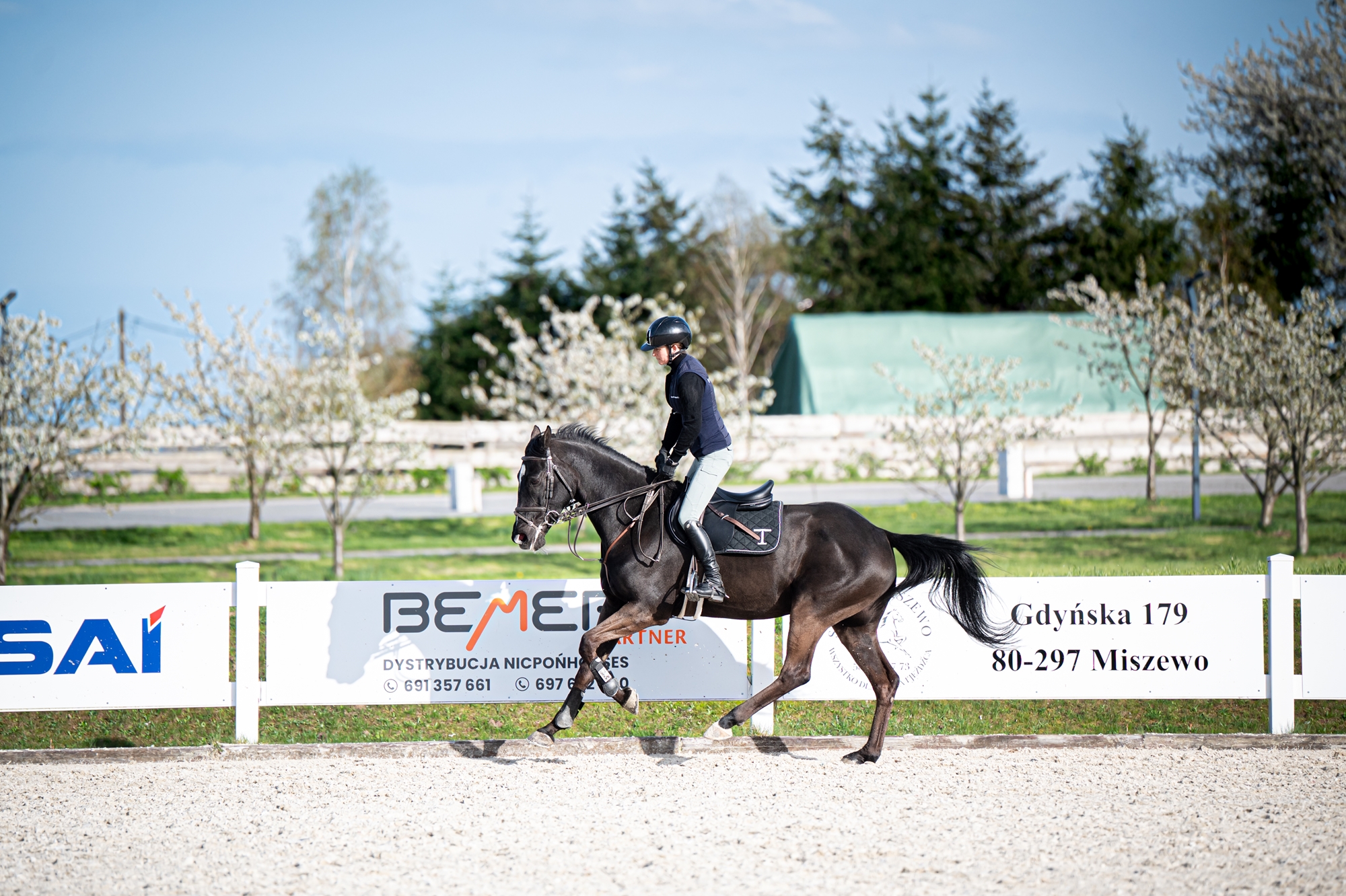 skj_barlomino_testowanie_siodel_prestige